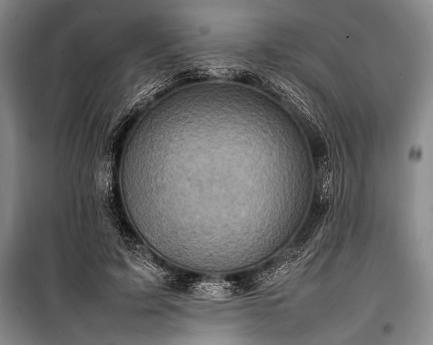 X0000101220595200806271449