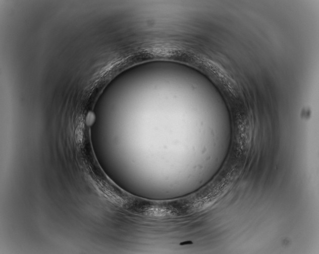X0000101220596200806271449