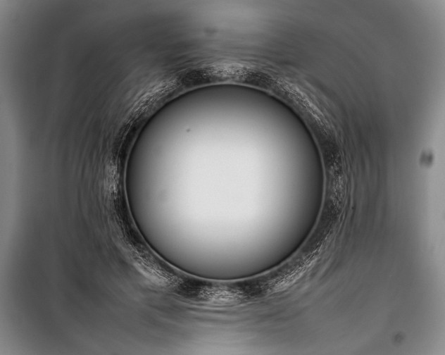 X0000101220597200806271449