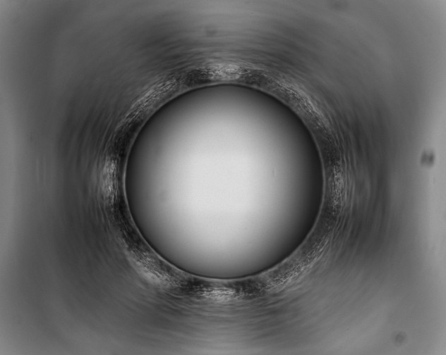 X0000101220598200806271449
