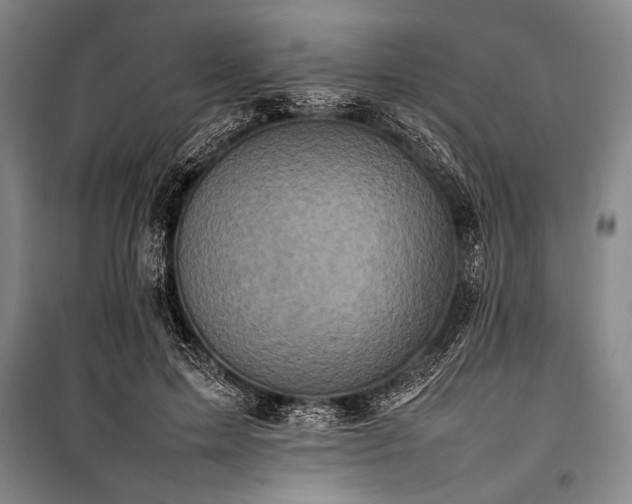 X0000101220599200806271449