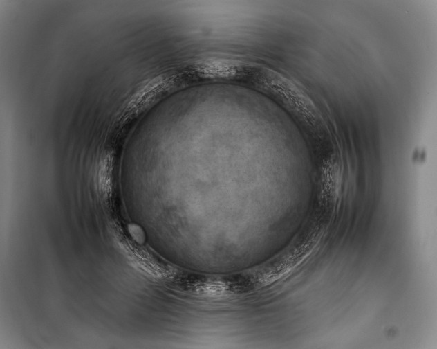 X0000101220600200806271449