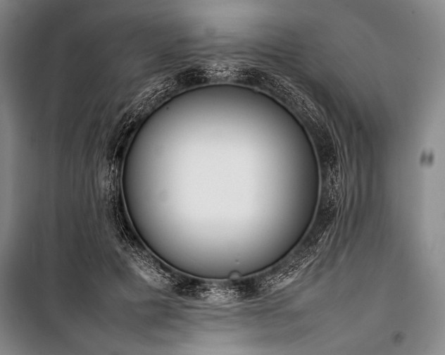 X0000101220601200806271449