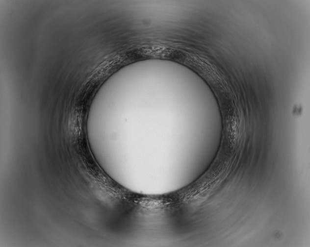 X0000101220602200806271449