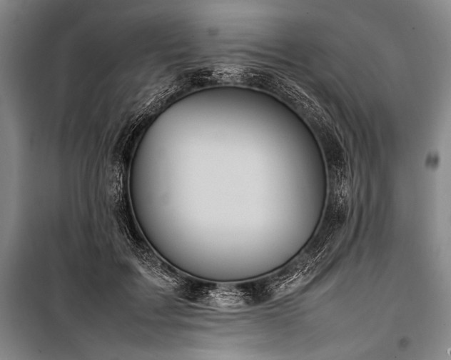 X0000101220603200806271449