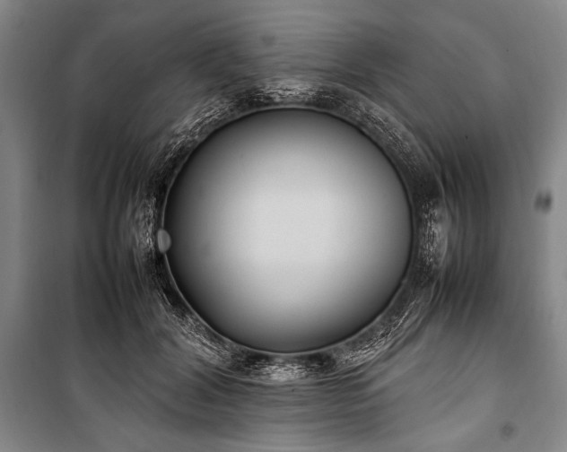 X0000101220604200806271449