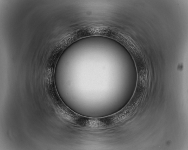 X0000101220605200806271449