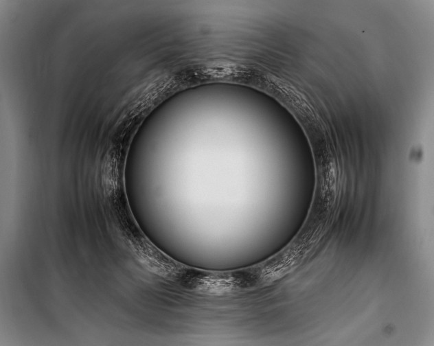 X0000101220606200806271449