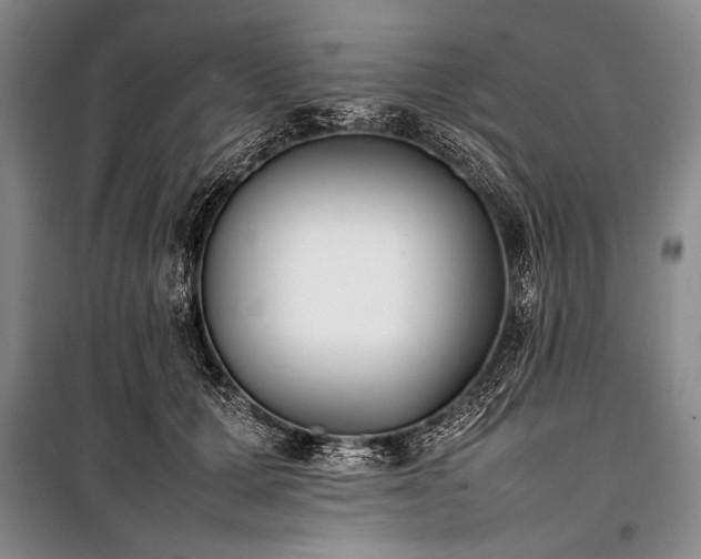 X0000101220607200806271449