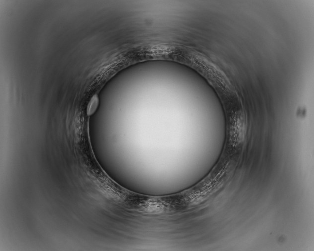 X0000101220608200806271449