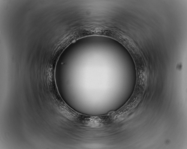 X0000101220612200806271449