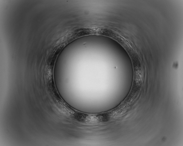 X0000101220613200806271449