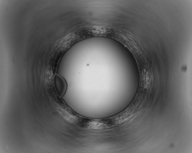 X0000101220614200806271449
