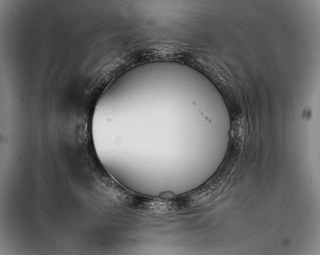 X0000101220615200806271449