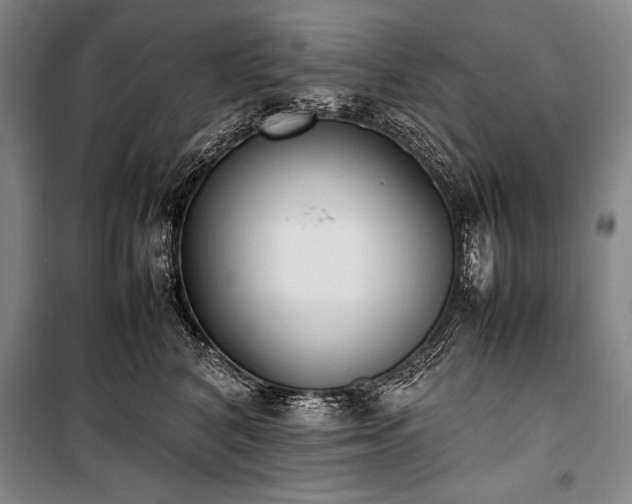 X0000101220616200806271449
