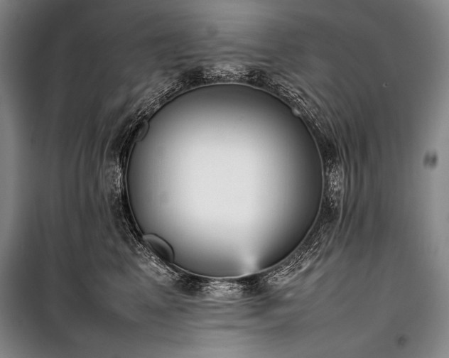 X0000101220617200806271449