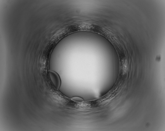 X0000101220619200806271449