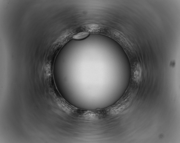 X0000101220620200806271449