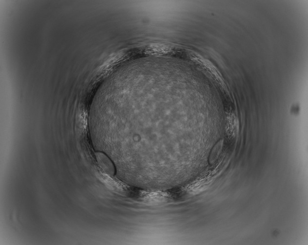 X0000101220621200806271449