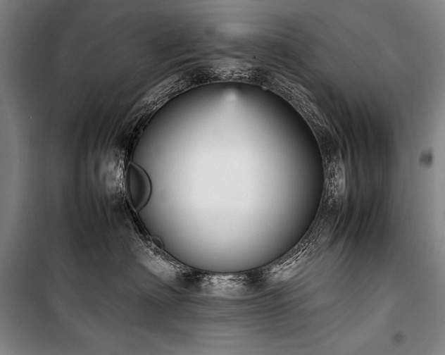 X0000101220622200806271449