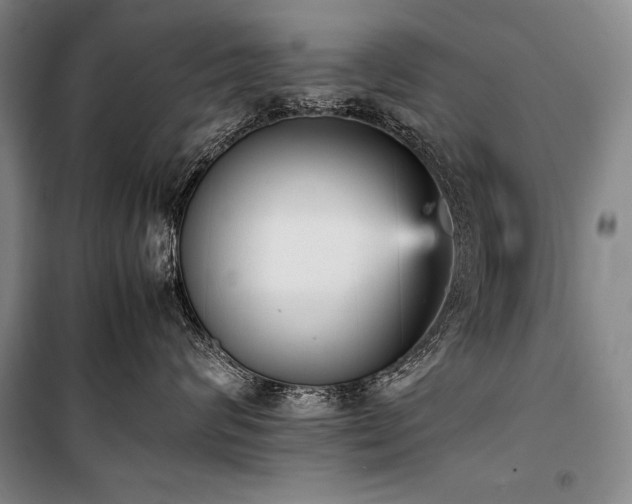 X0000101220624200806271449