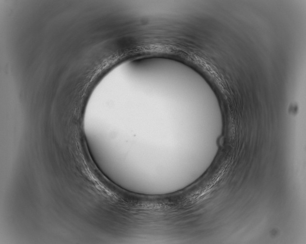 X0000101220625200806271448