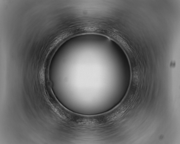 X0000101220626200806271448
