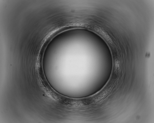 X0000101220628200806271448