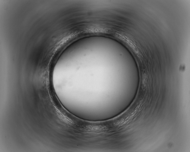 X0000101220629200806271448