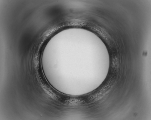 X0000101220632200806271448