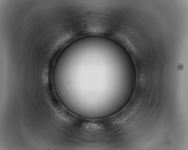 X0000101220635200806271448