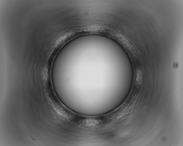 X0000101220636200806271448