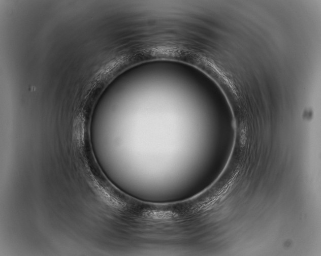 X0000101220637200806271448