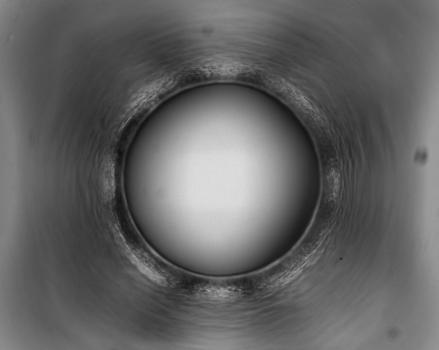 X0000101220638200806271448