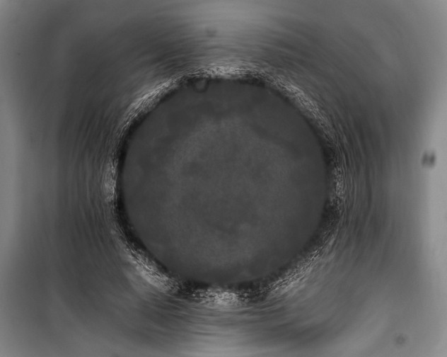 X0000101220640200806271448