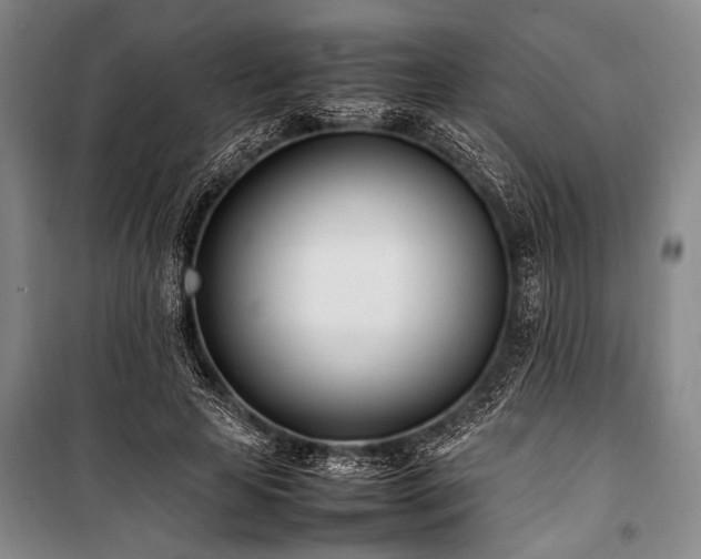 X0000101220641200806271448