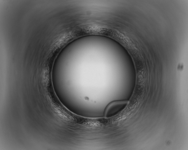 X0000101220642200806271448
