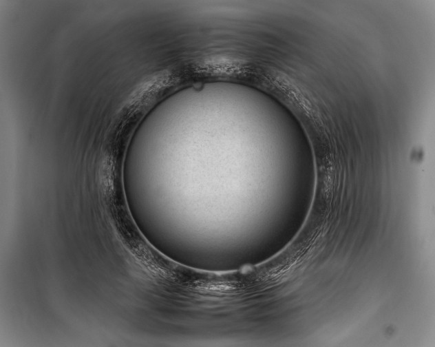 X0000101220643200806271448