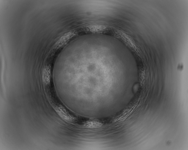 X0000101220644200806271448