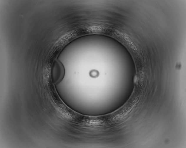 X0000101220645200806271448