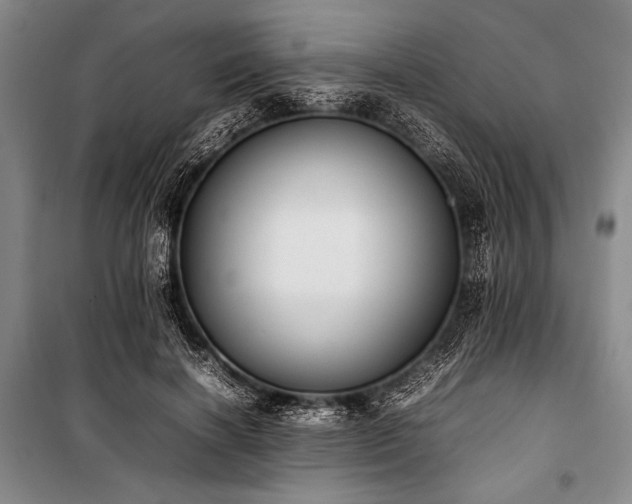 X0000101220646200806271448