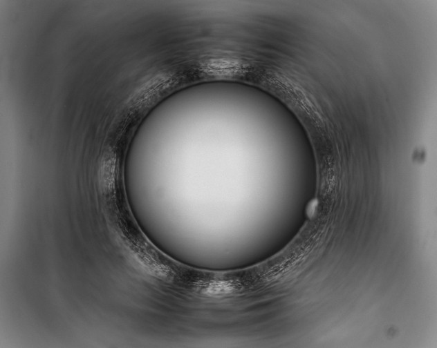 X0000101220647200806271448