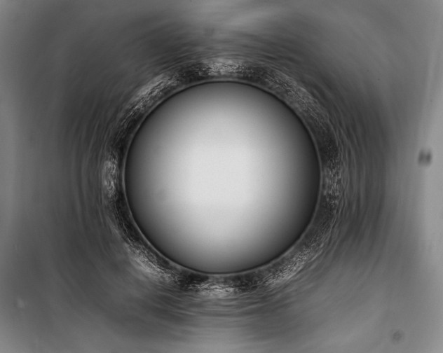 X0000101220648200806271448