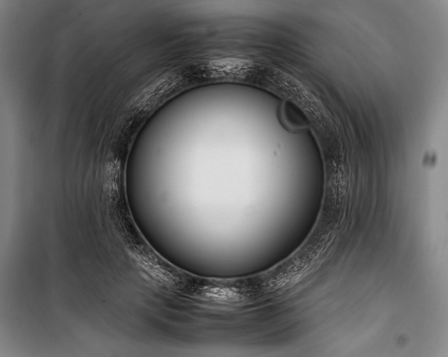 X0000101220649200806271448