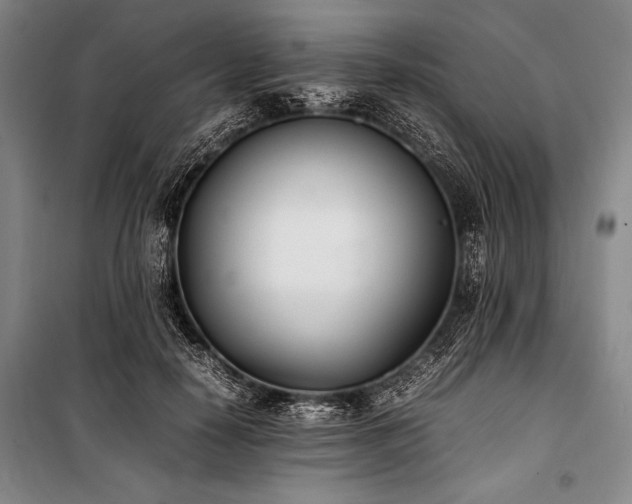 X0000101220650200806271448