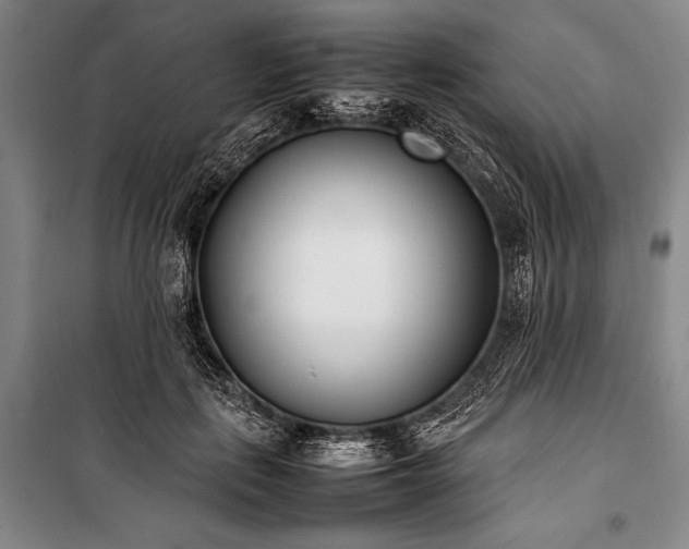 X0000101220651200806271448