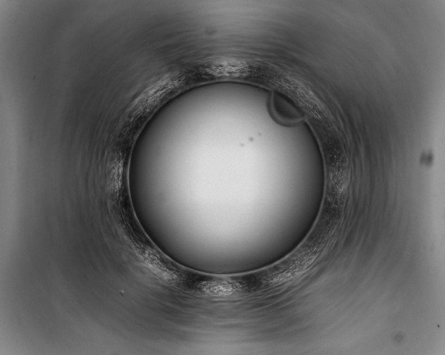 X0000101220652200806271448