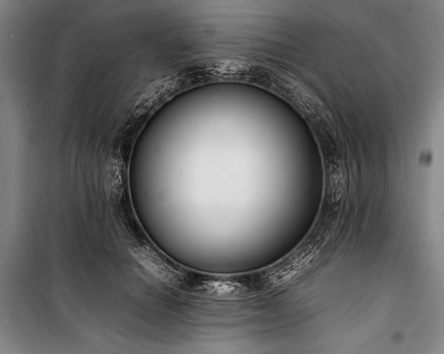 X0000101220654200806271448
