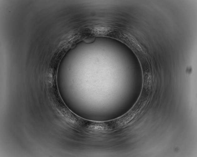 X0000101220655200806271448