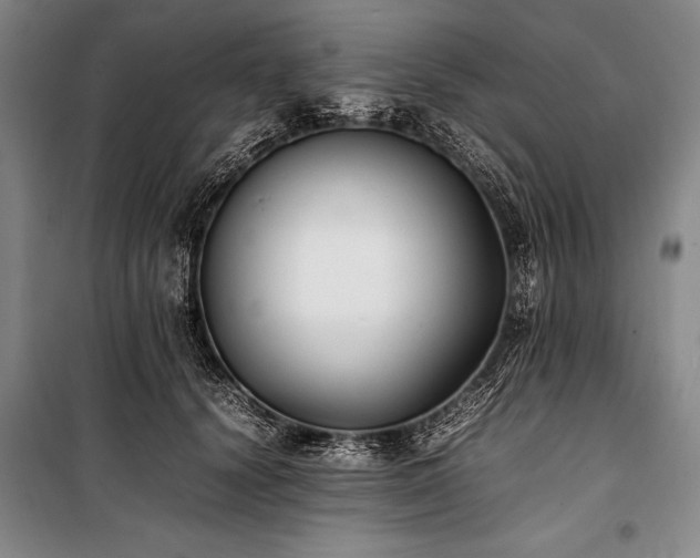 X0000101220656200806271448